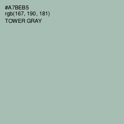 #A7BEB5 - Tower Gray Color Image