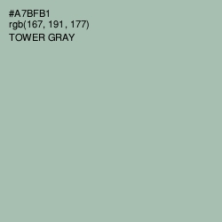 #A7BFB1 - Tower Gray Color Image