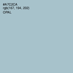 #A7C2CA - Opal Color Image