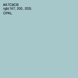 #A7C8CB - Opal Color Image