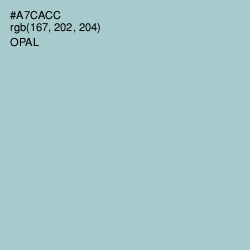 #A7CACC - Opal Color Image