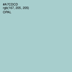#A7CDCD - Opal Color Image