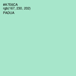 #A7E6CA - Padua Color Image
