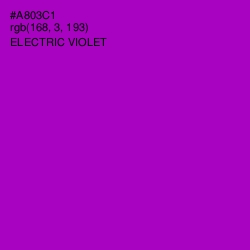 #A803C1 - Electric Violet Color Image