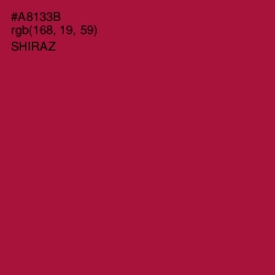 #A8133B - Shiraz Color Image