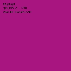 #A81581 - Violet Eggplant Color Image