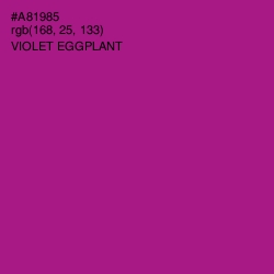 #A81985 - Violet Eggplant Color Image