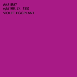 #A81B87 - Violet Eggplant Color Image