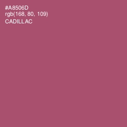 #A8506D - Cadillac Color Image