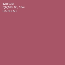 #A85568 - Cadillac Color Image