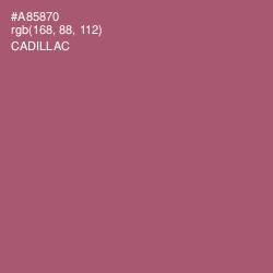 #A85870 - Cadillac Color Image