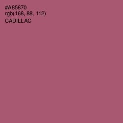 #A85870 - Cadillac Color Image