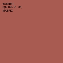 #A85B51 - Matrix Color Image