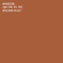 #A85D3B - Brown Rust Color Image