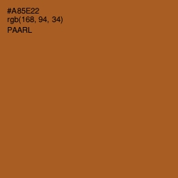 #A85E22 - Paarl Color Image