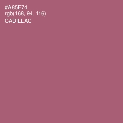 #A85E74 - Cadillac Color Image