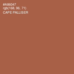 #A86047 - Cape Palliser Color Image