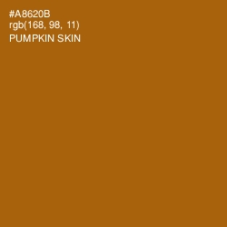 #A8620B - Pumpkin Skin Color Image