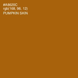 #A8620C - Pumpkin Skin Color Image