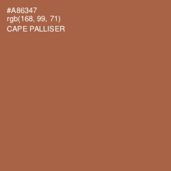 #A86347 - Cape Palliser Color Image