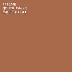 #A86A4B - Cape Palliser Color Image