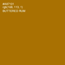 #A87101 - Buttered Rum Color Image
