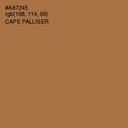 #A87245 - Cape Palliser Color Image