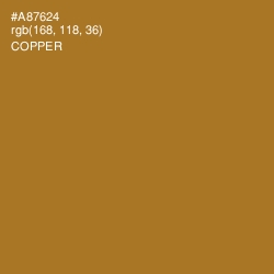 #A87624 - Copper Color Image