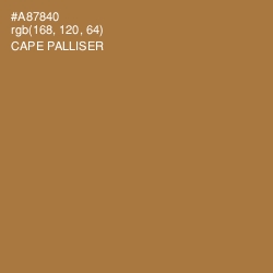 #A87840 - Cape Palliser Color Image