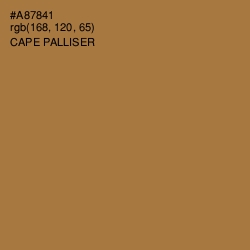 #A87841 - Cape Palliser Color Image