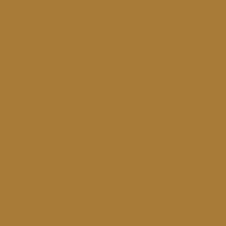 #A87B39 - Copper Color Image
