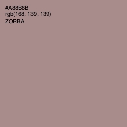 #A88B8B - Zorba Color Image