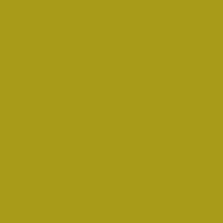 #A89B19 - Lucky Color Image