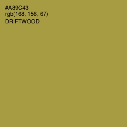 #A89C43 - Driftwood Color Image