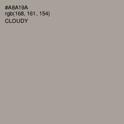 #A8A19A - Cloudy Color Image
