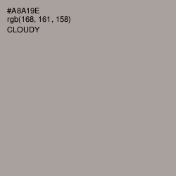 #A8A19E - Cloudy Color Image