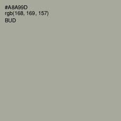 #A8A99D - Bud Color Image
