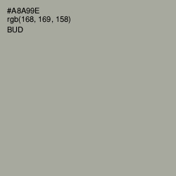 #A8A99E - Bud Color Image
