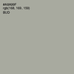 #A8A99F - Bud Color Image