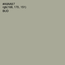 #A8AA97 - Bud Color Image