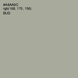 #A8AA9C - Bud Color Image