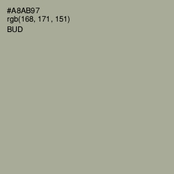 #A8AB97 - Bud Color Image