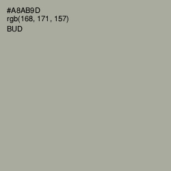 #A8AB9D - Bud Color Image