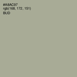 #A8AC97 - Bud Color Image