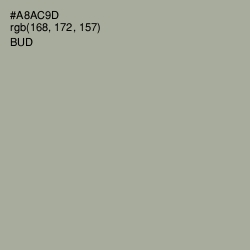 #A8AC9D - Bud Color Image