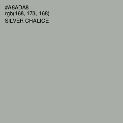#A8ADA8 - Silver Chalice Color Image