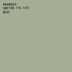 #A8AE93 - Bud Color Image
