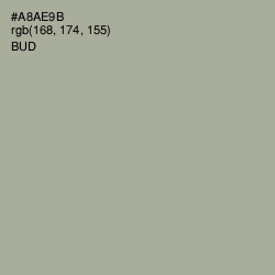 #A8AE9B - Bud Color Image