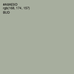 #A8AE9D - Bud Color Image