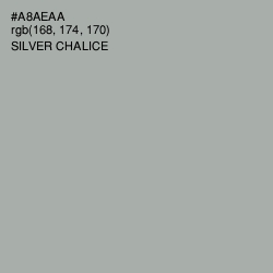 #A8AEAA - Silver Chalice Color Image